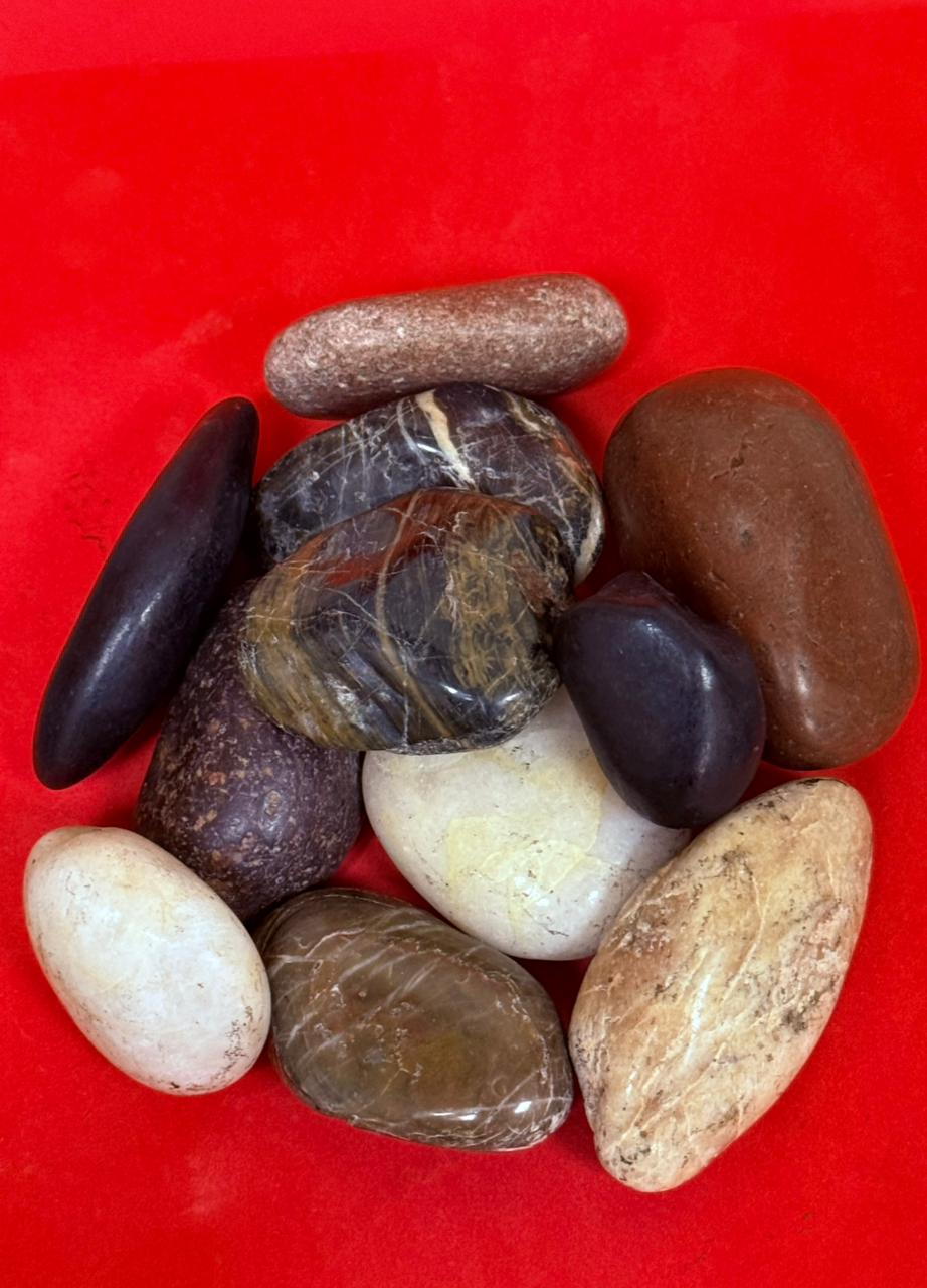Pebbles gallery 5