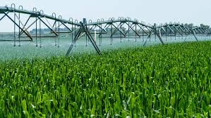 Agriculture