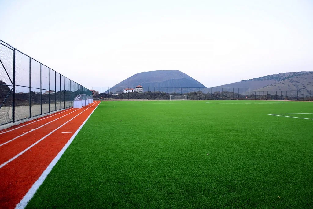 Sports Fields & Tracks